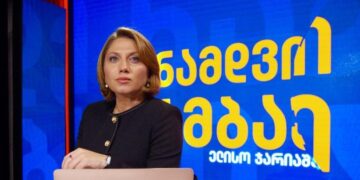 გურამ როგავას საქმეზე ჟურნალისტი ელისო ჯარიაშვილი დაიკითხა