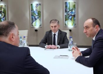 სუს-ის გენერალურ ინსპექციას დავით არჩვაძე უხელმძღვანელებს