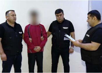 ოზურგეთში ინტერპოლის წითელი ცირკულარით ძებნილი პირი დააკავეს (+ვიდეო)