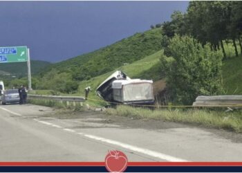 ცენტრალურ ავტობანზე სატვირთო ავტომანქანა გზიდან გადავარდა