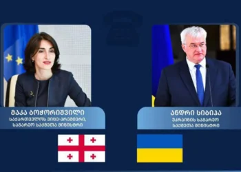 მაკა ბოჭორიშვილსა და ანდრეი სიბიგას შორის სატელეფონო საუბარი გაიმართა
