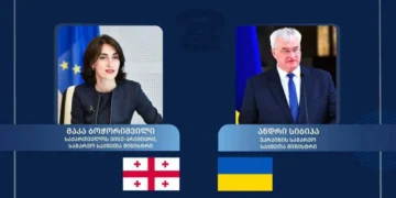 მაკა ბოჭორიშვილსა და ანდრეი სიბიგას შორის სატელეფონო საუბარი გაიმართა