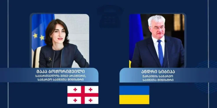 მაკა ბოჭორიშვილსა და ანდრეი სიბიგას შორის სატელეფონო საუბარი გაიმართა