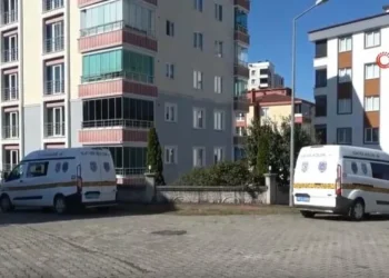 თურქეთში ამოუცნობი დრონი ჩამოვარდა